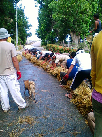 西表島干立 豊年祭の綱引